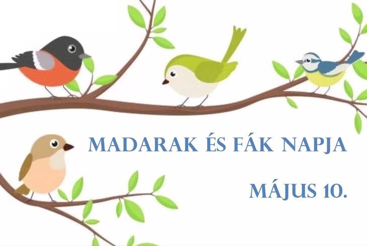 Madarak s fk napja